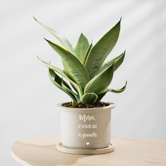 Merci de m'avoir aidé à grandir - Aufkleber für den Blumentopf - Geschenk für die Lehrerin, Danke für Kindergarten - französische Version