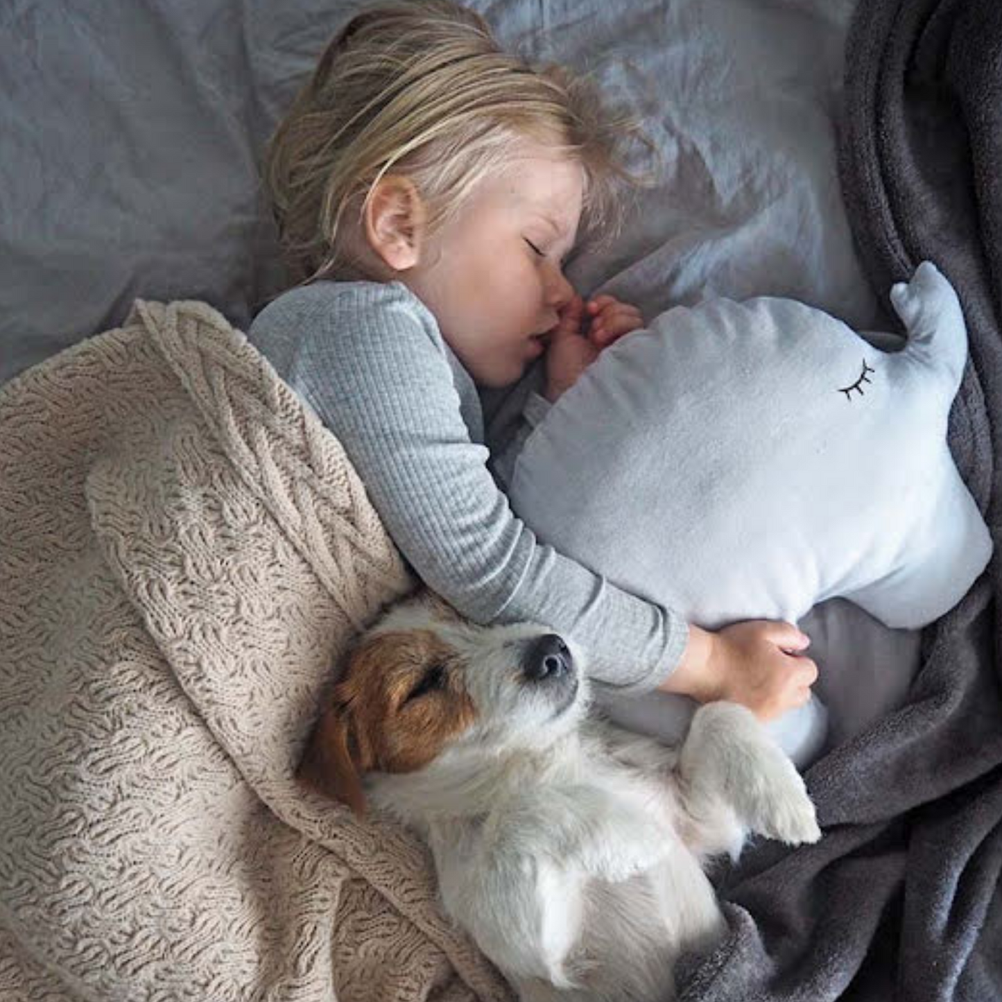 Kissen Elefant - personalisiert mit Namen - Geschenk zur Geburt - Babyparty, KiTa Kissen, Geschenk Taufe