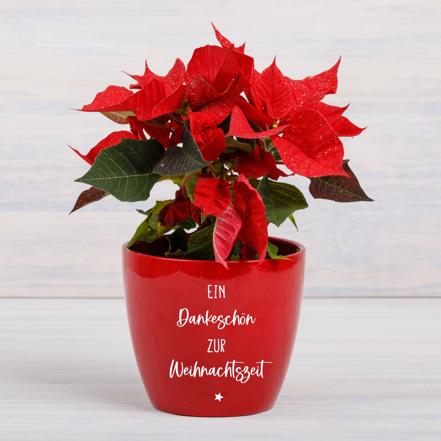 Sticker Ein Dankeschön zur Weihnachtszeit - Aufkleber für den Blumentopf - Erzieher Geschenk, Danke für Kindergarten - Wichtelgeschenk
