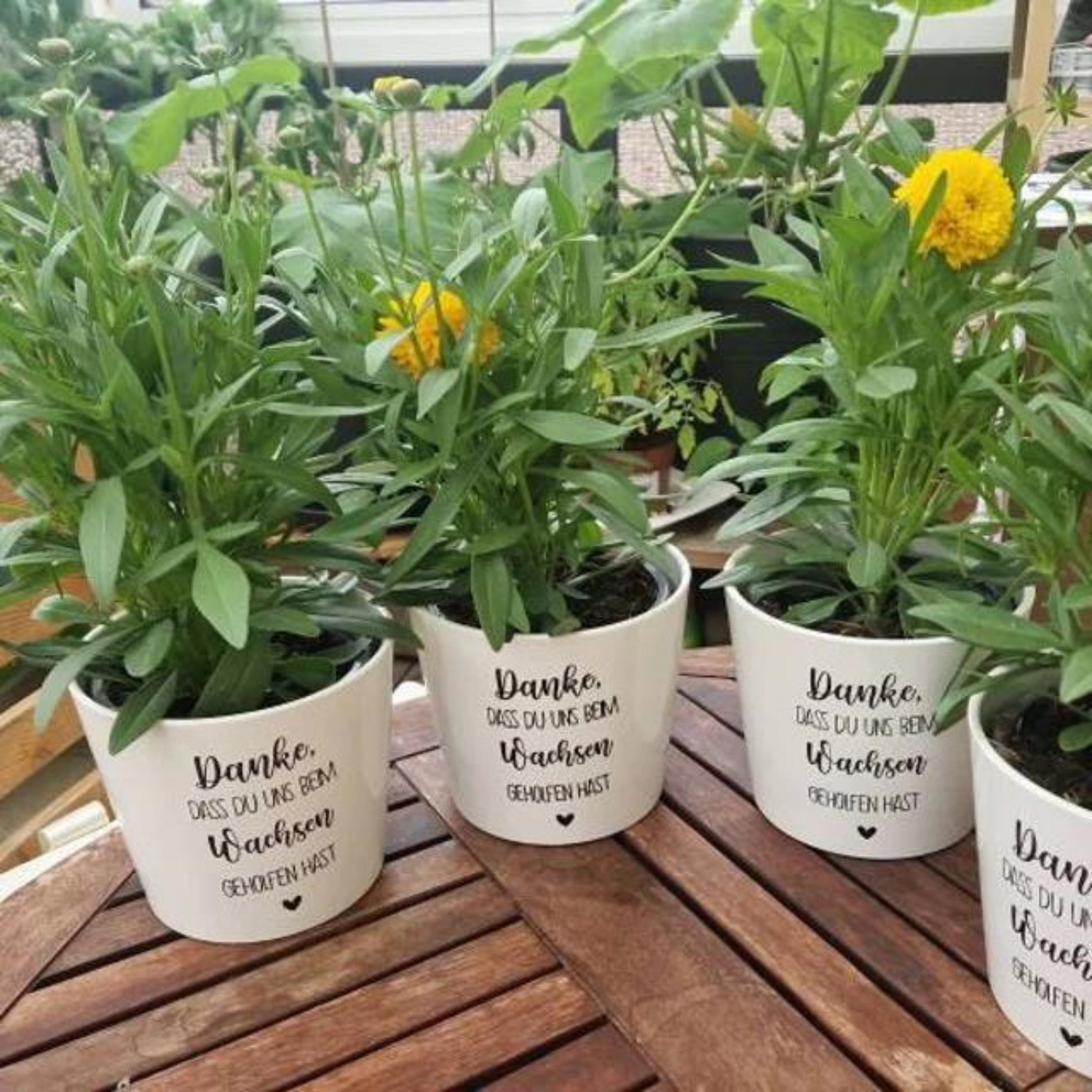 Danke Sticker für den Blumentopf - Perfekt für Lehrerinnen