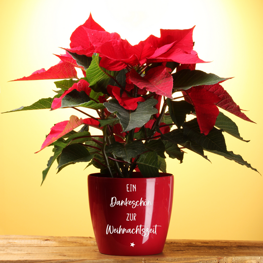 Sticker Ein Dankeschön zur Weihnachtszeit - Aufkleber für den Blumentopf - Erzieher Geschenk, Danke für Kindergarten - Wichtelgeschenk